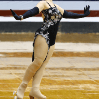 2014 Skating Dress(es)