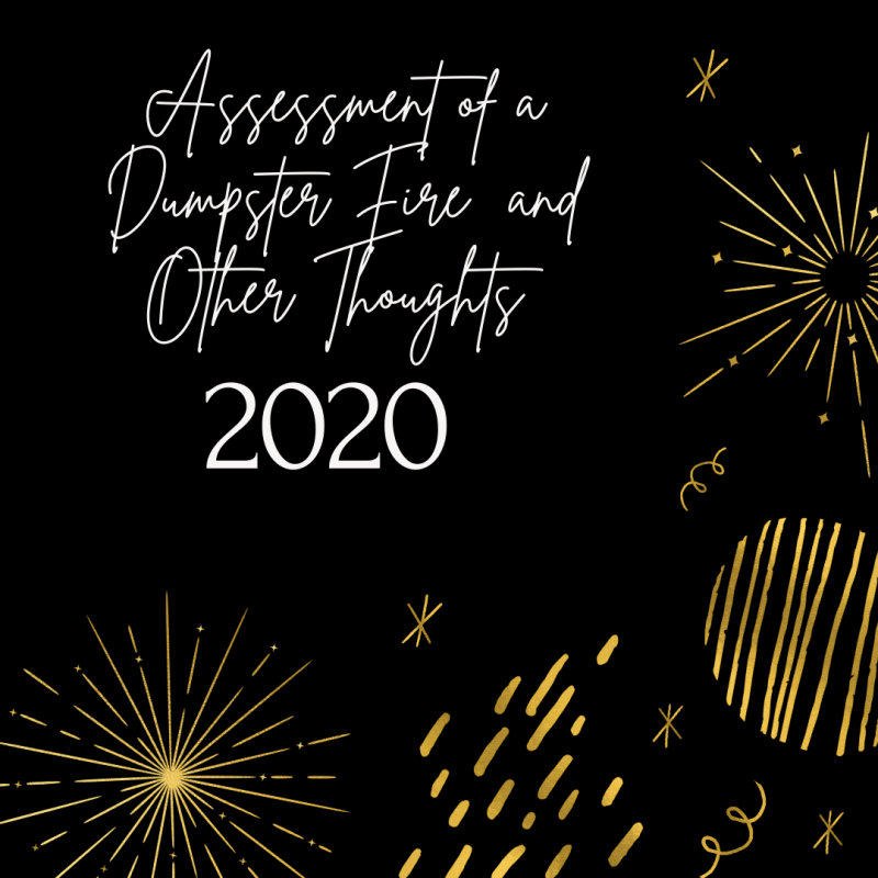 2020: Assessment of a Dumpster Fire and Other&nbsp;Thoughts