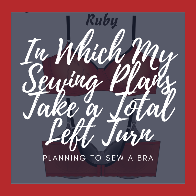 In Which My Sewing Plans Take a Total Left&nbsp;Turn