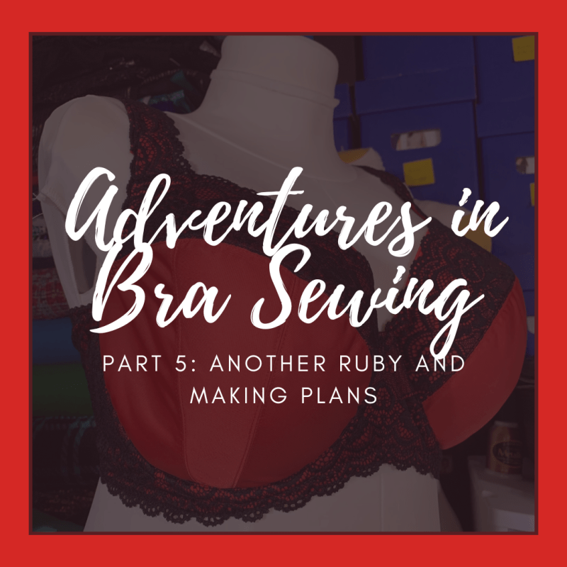 Adventures in Bra Sewing: Part 5 – Another Ruby Bra and Making&nbsp;Plans
