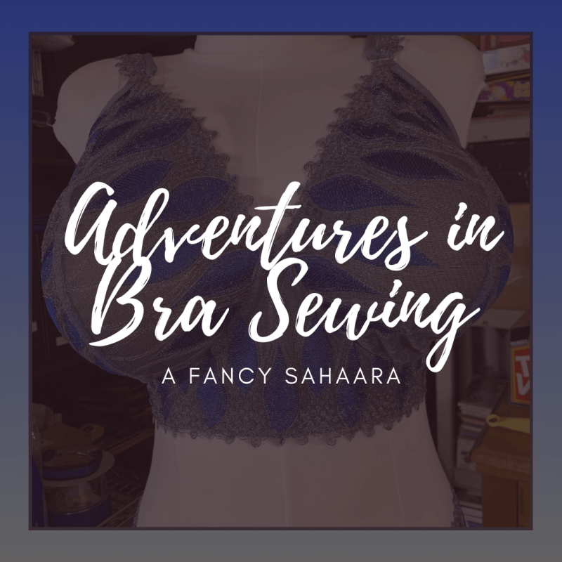 Adventures in Bra Sewing: A Fancy&nbsp;Sahaara
